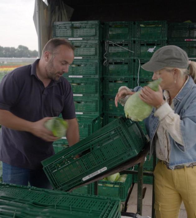 Onze boerderij: de oogst 1