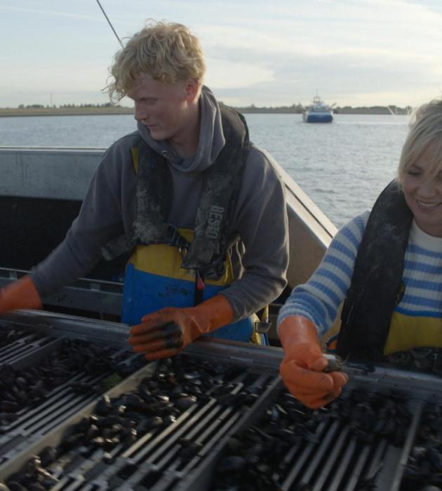 Onze boerderij: de oogst 2