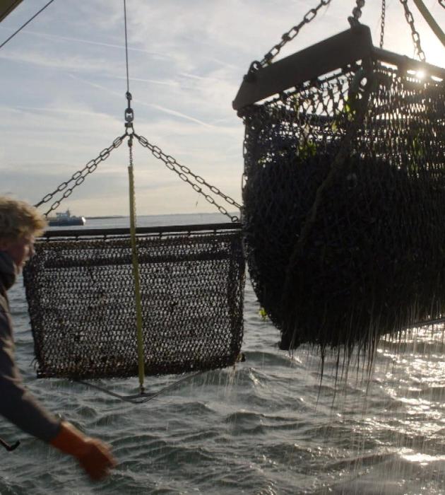 Onze boerderij: de oogst 3