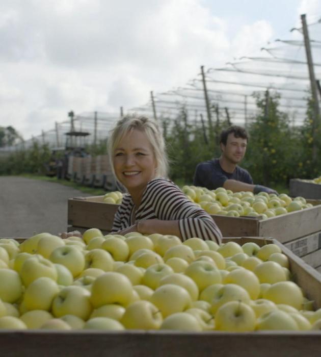 Onze boerderij: de oogst 6