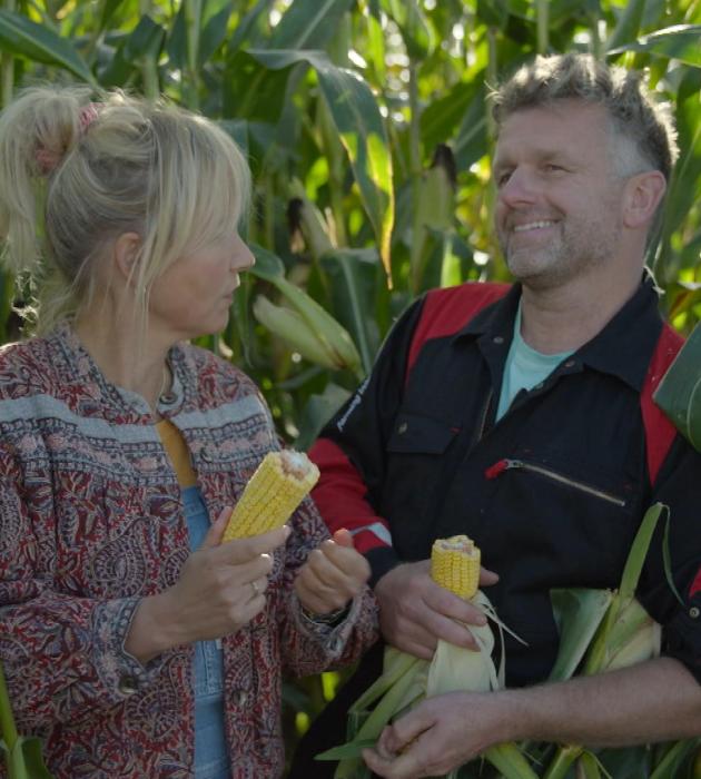 Onze boerderij: de oogst 8