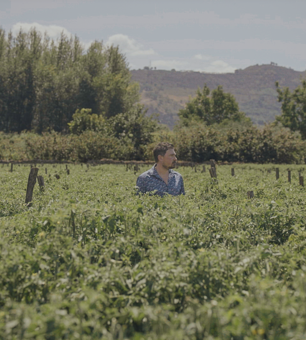 san marzano kvw ersin