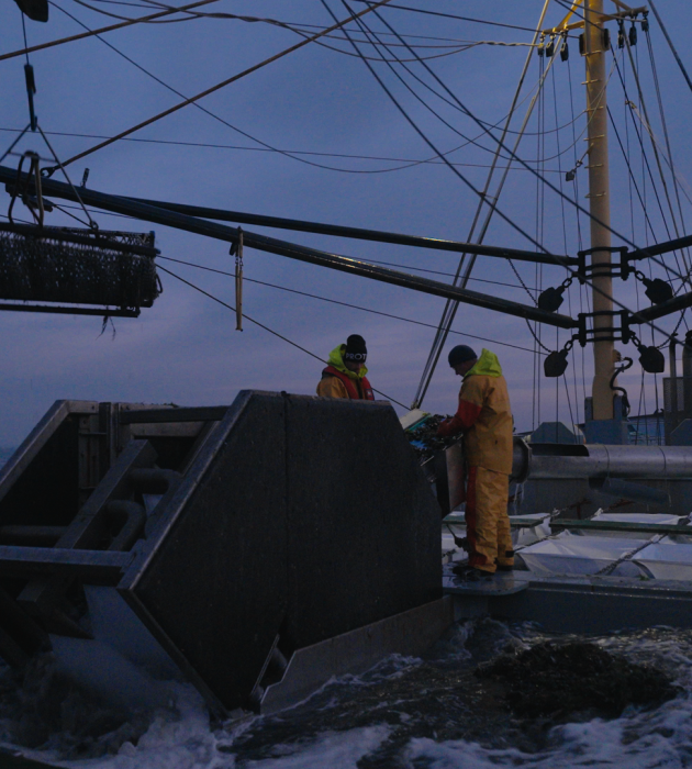 Vissermannen Pointer View KRO-NCRV