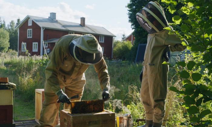 BinnensteBuitenland - KRO-NCRV