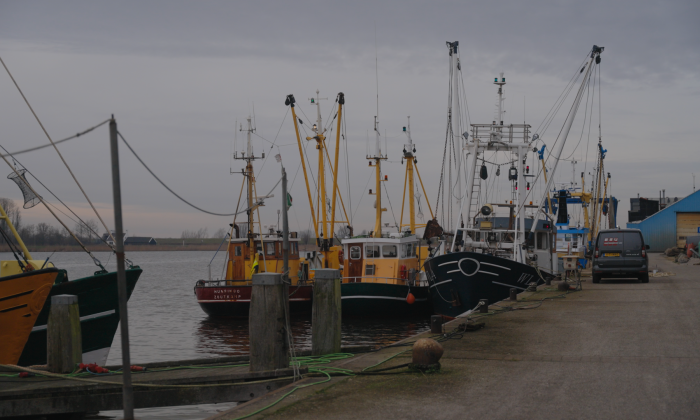 Vissermannen Pointer View KRO-NCRV