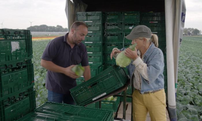 Onze boerderij: de oogst 1