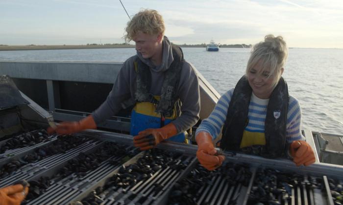 Onze boerderij: de oogst 2