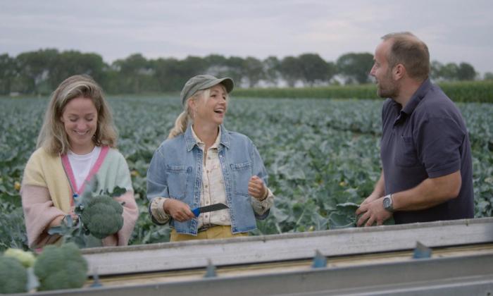 Onze boerderij: de oogst 5