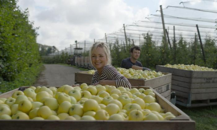 Onze boerderij: de oogst 6