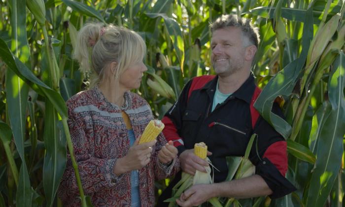 Onze boerderij: de oogst 8