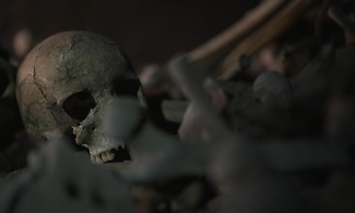 Kruispunt: Het geheim van de Friezenkerk