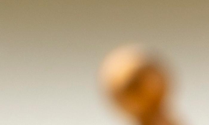 Waar Komt De Tompouce Vandaan