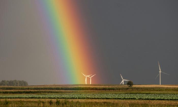 Willem Wever zoekt uit: hoe komt het dat de kleuren van de regenboog