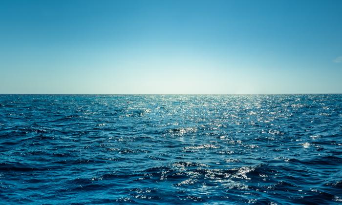 Willem Wever zoekt uit: waarom is zeewater zout? | KRO-NCRV