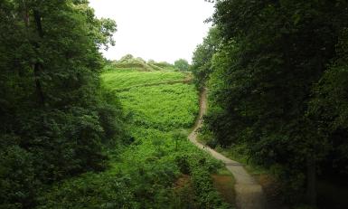 Krachtplekken