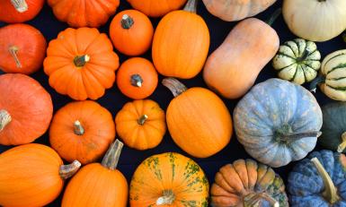 pompoen recept herfstgroente