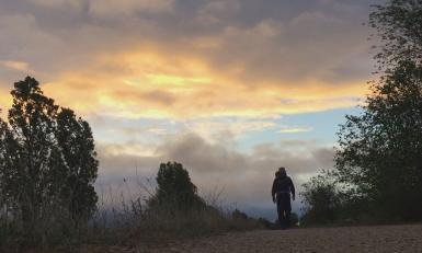 RZL Camino Meseta