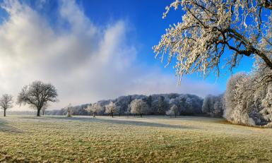 wandelen route winter winterwandeling