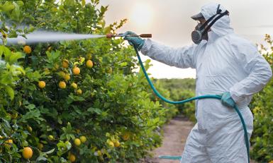 bestrijdingsmiddelen groente fruit pointer