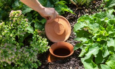olla planten water geven binnenstebuiten