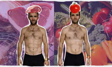 header vegan vs vleeseter