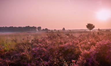 wandelroute hei