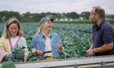 drie mensen aan het oogsten