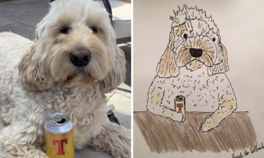 Pet Portraits By Hercule