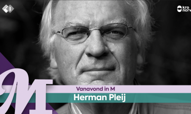 Herman Pleij 