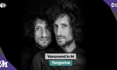 Tangarine