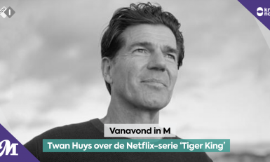 Twan Huys