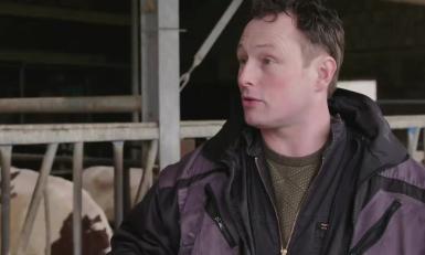 boer aleid blitterswijk hooikaas binnenstebuiten