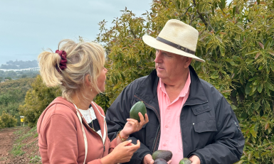 twee mensen houden avocado's vast