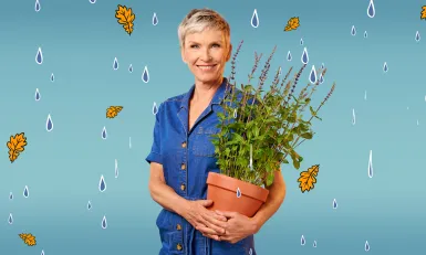 Top 3 tuintips voor het najaar