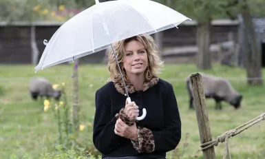 Annemiek Schrijver