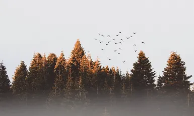 Widening Circles