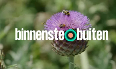 binnenstebuiten blijft