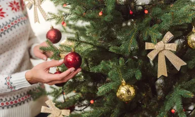 Kerstbomen - Keuringsdienst van waarde