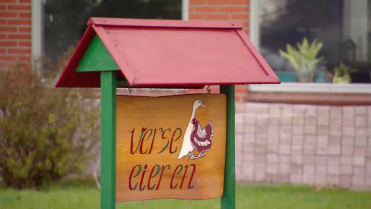 Eendeneieren Eendeneieren in Ossendrecht