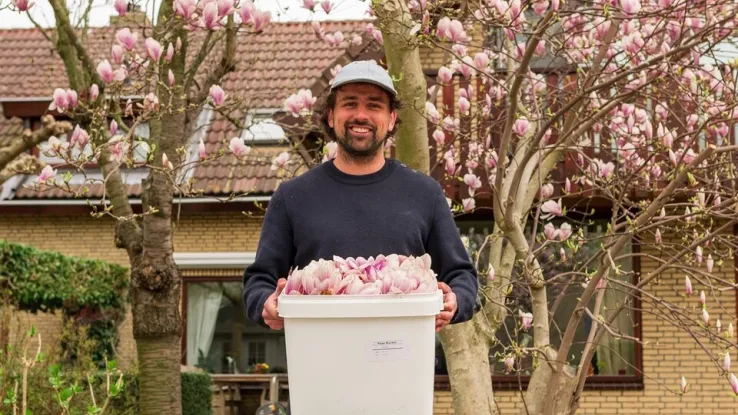 Roze bunker Roze bunker