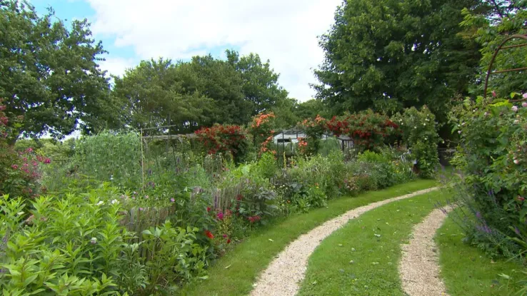 In het Zeeuwse Grijpskerke ligt de kleurrijke bloemen- en grassentuin van Ruud en Willeke Verschuur. De verschillende rozen die als een rode draad door de tuin staan, verraadt de afkomst van Willeke. Een pionier-ster in de Bloementuin