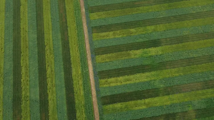 Land van ons Land van ons