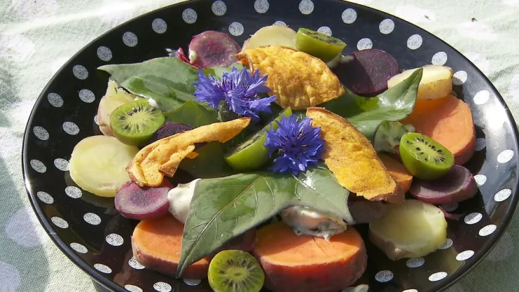 Sharon maakt een carpaccio van verse bataat met kruidenmayonaise. Carpaccio van bataat met kruidenmayonaise
