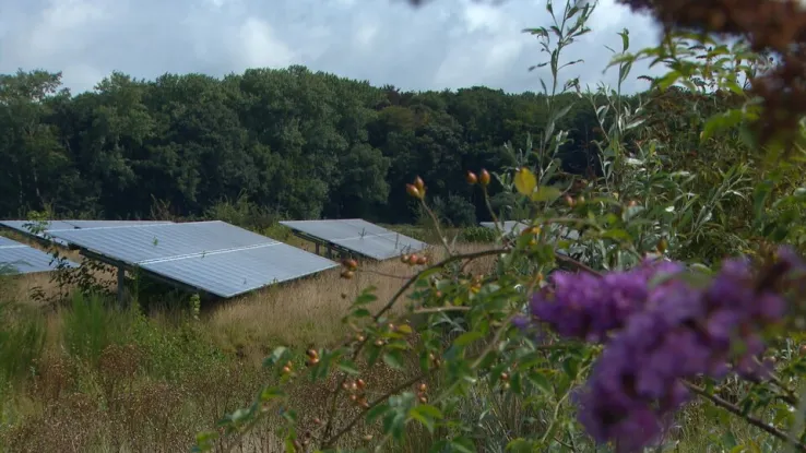 Je ziet ze steeds vaker; weilanden vol zonnepanelen om groene stroom op te wekken. Maar echt een vrolijk plaatje is het niet, in Hengelo is dit anders. Solarpark Hengelo