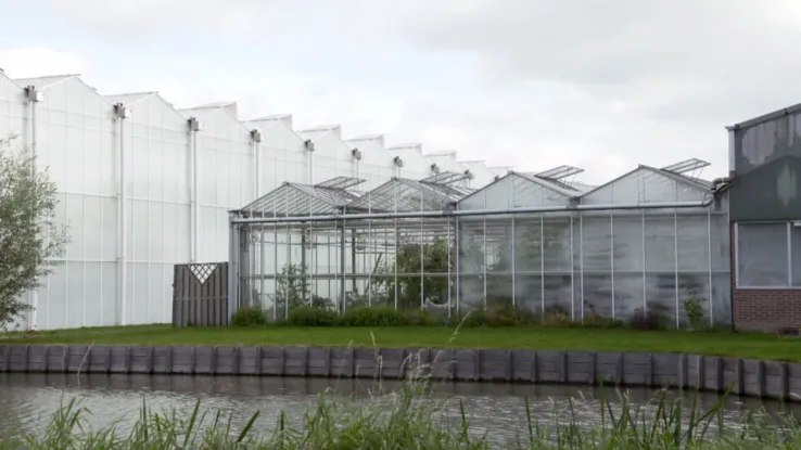Moestuinen in een kas Moestuinen in een kas