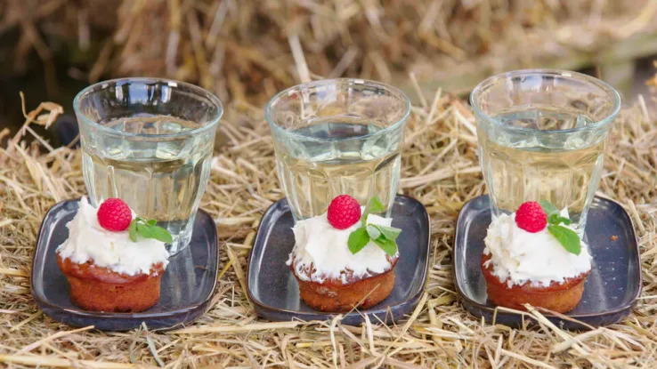 Pompoencake Pompoencake