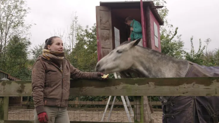 Terwijl hangbuikzwijn Dikke Bob mopperend zijn hok opzoekt en pony Aagje de weide in rent voor een sappig hapje gras, sloopt koe Madelief de kas met cherrytomaten. Zo reilt en zeilt het op Keuterboerderij Velddriel, de uit de hand gelopen hobby van Elise. Beestenboel in Velddriel