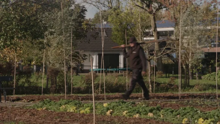 Alain op zoek naar bloemkool