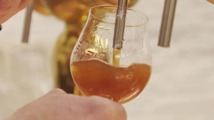 Biermosterd uit Nijmegen Biermosterd uit Nijmegen