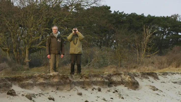 Duinen Duinen